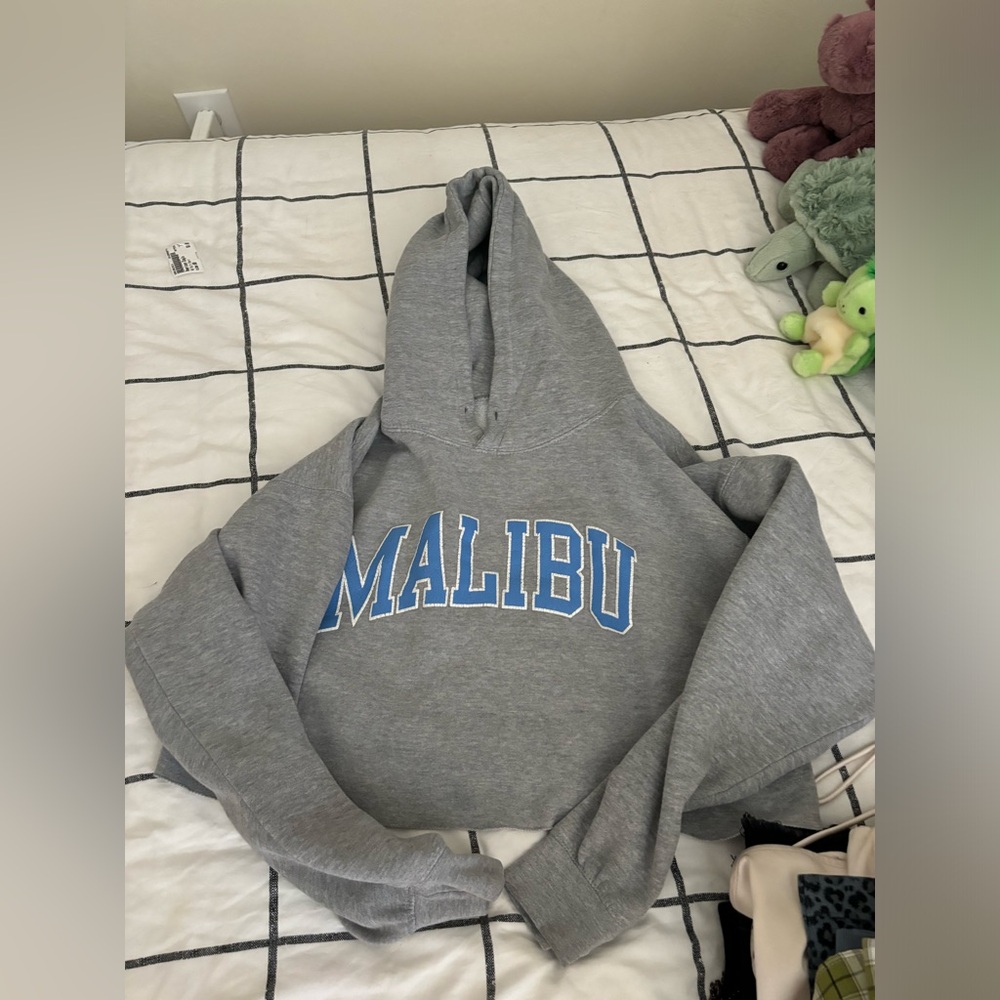 Brandy Melville cropped Malibu sweatshirt!